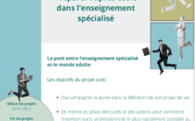  Le FSE permet l'existence du projet TRANSITION-INSERTION au sein de l'école.